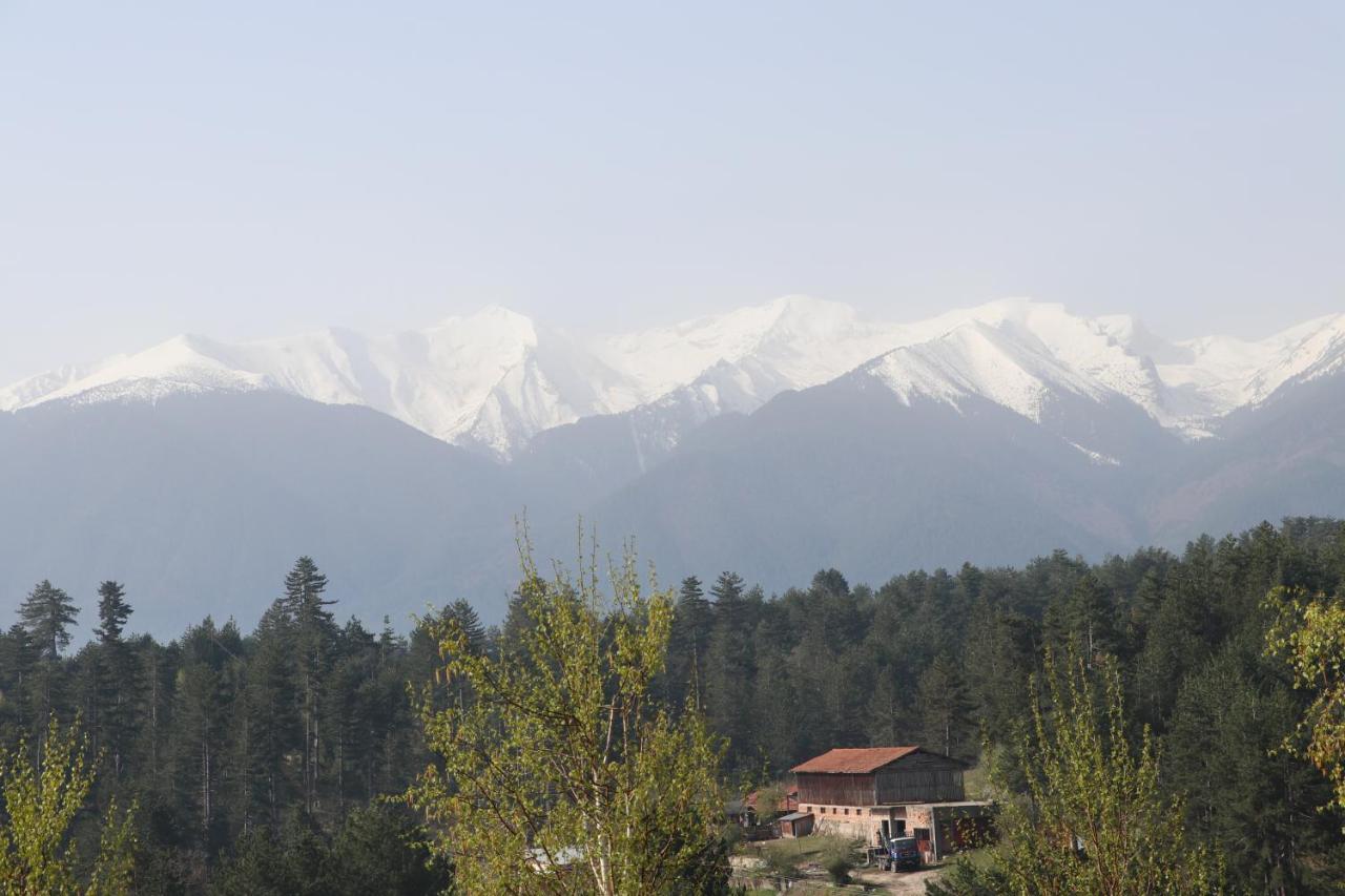 Katarino Spa Hotel Bansko Luaran gambar